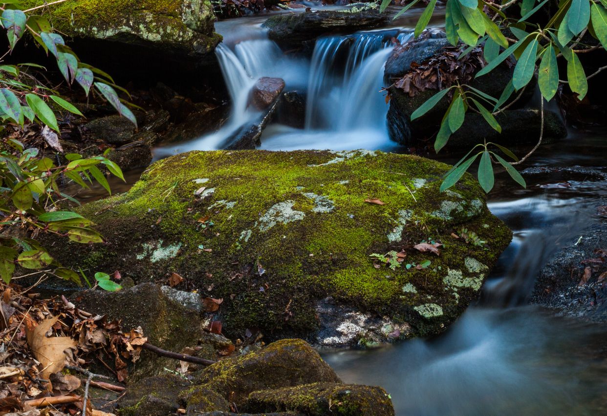 Slick Rock Creek