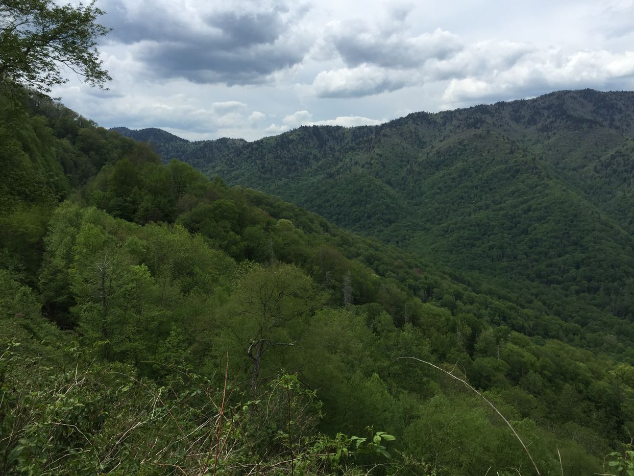 History Exhibit Overlook