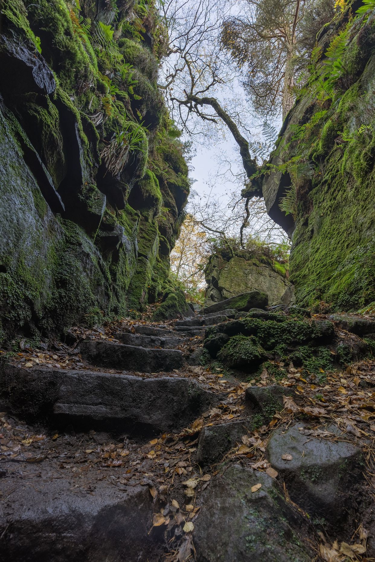 Lud's Church