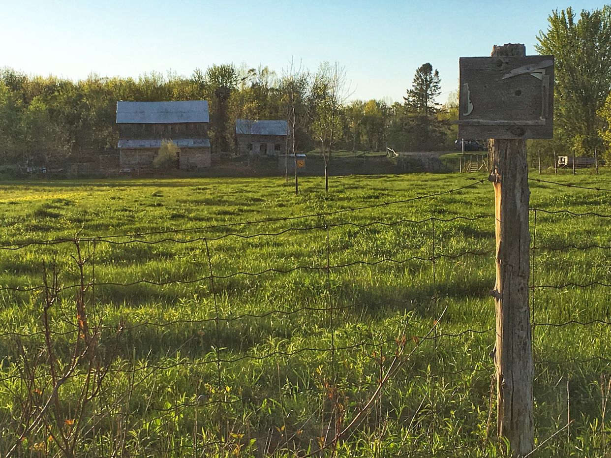 Derelict Farm Structures