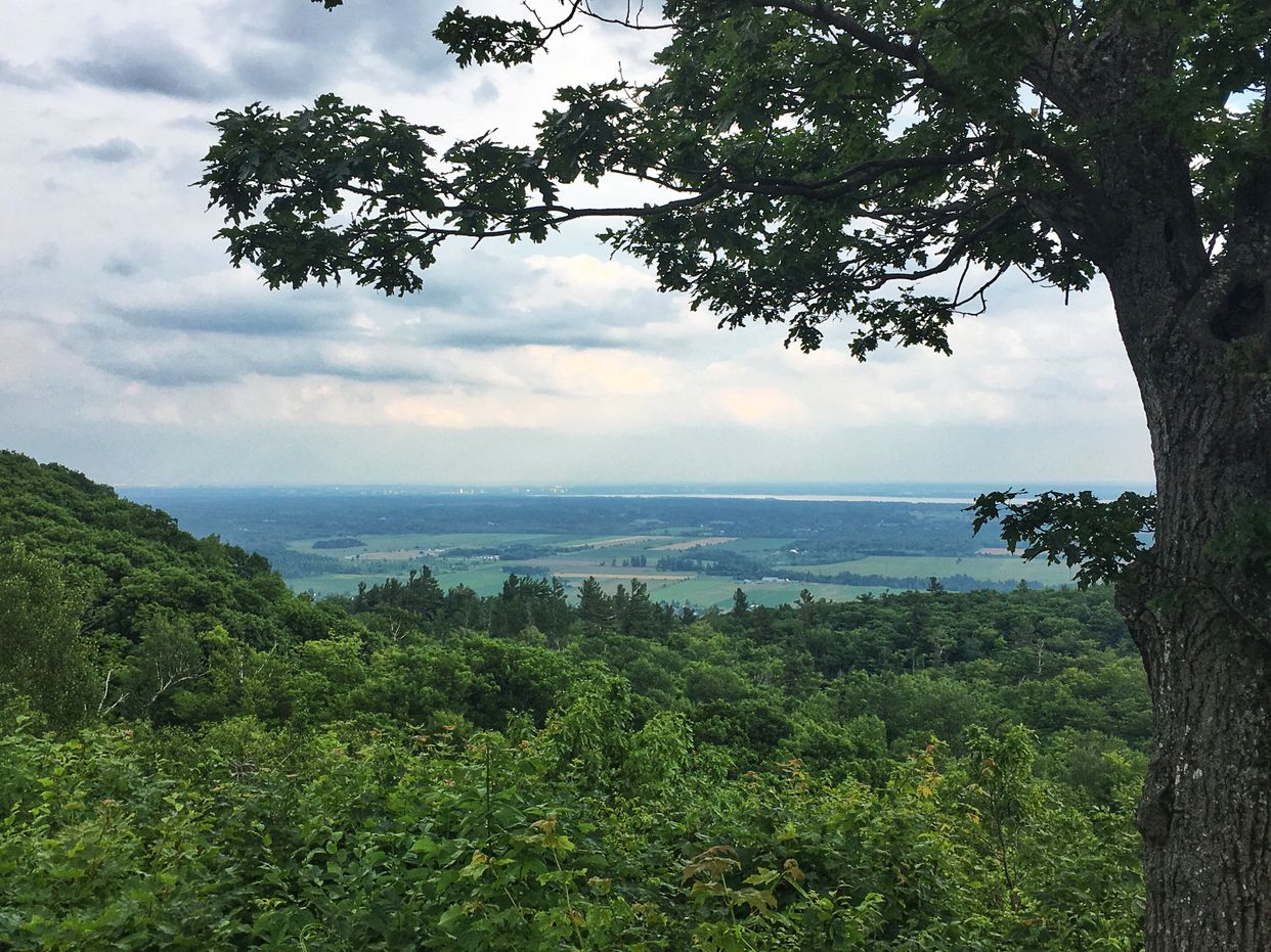 Huron Lookout