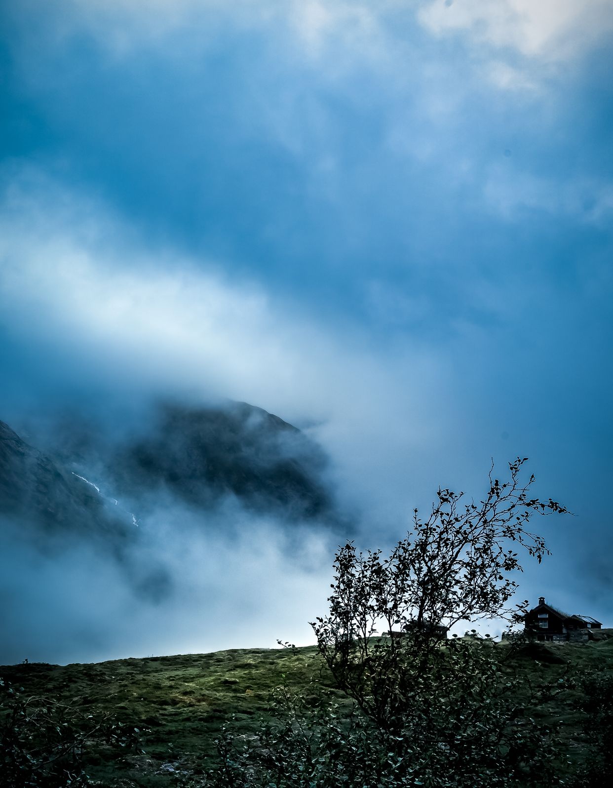 Grasdal