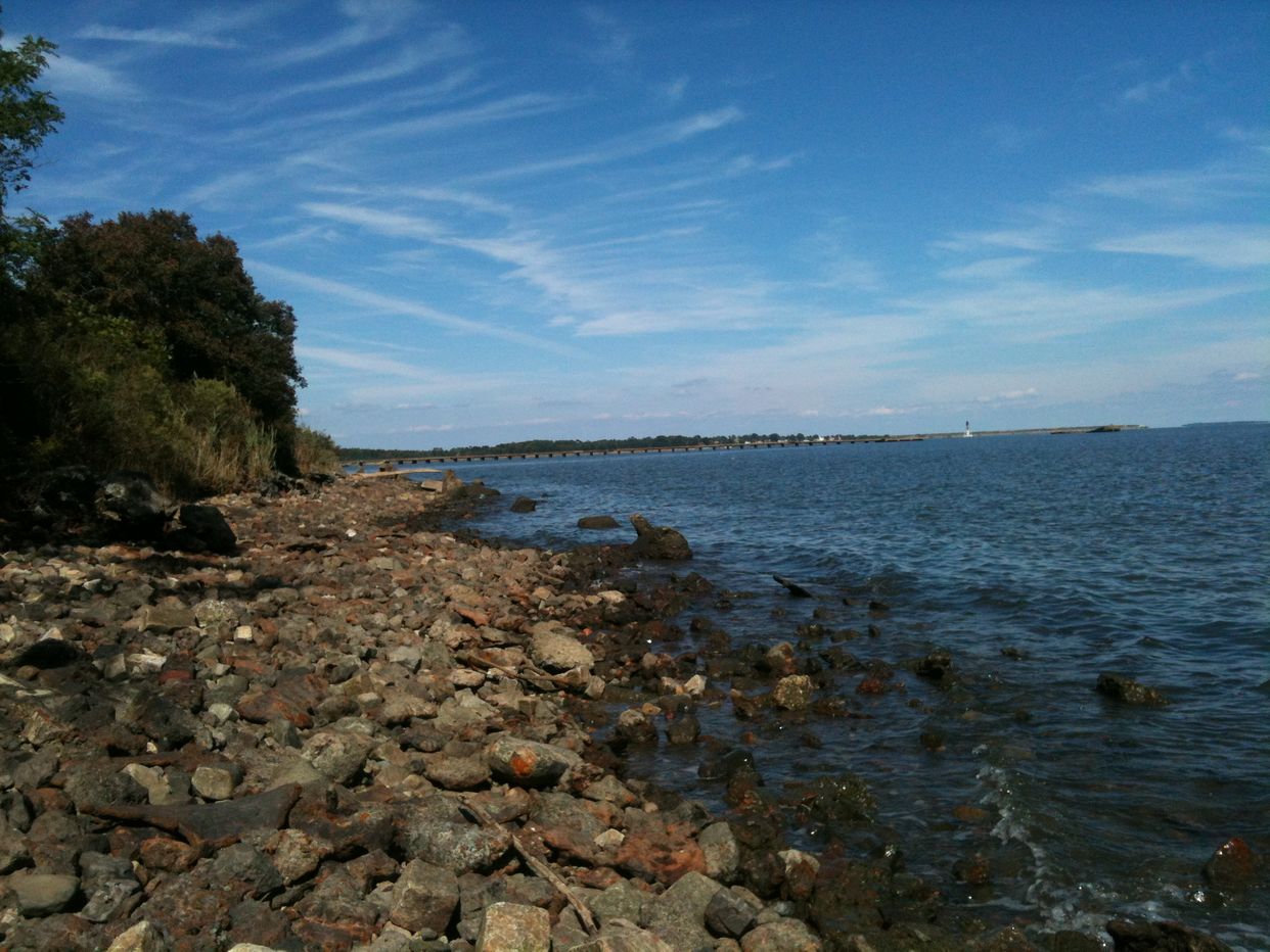 Sedgy Point
