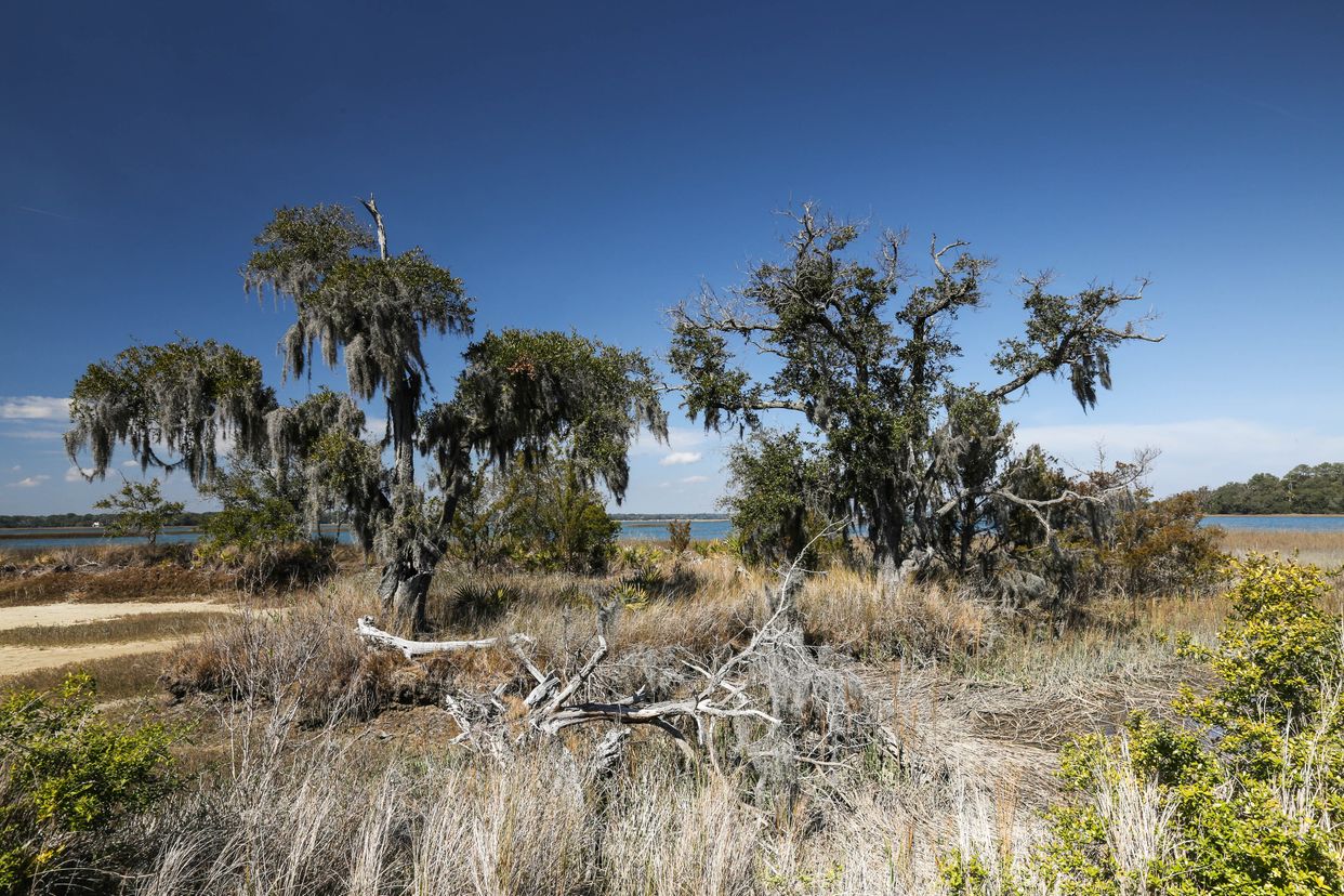 Pinckney Island National Wildlife Refuge