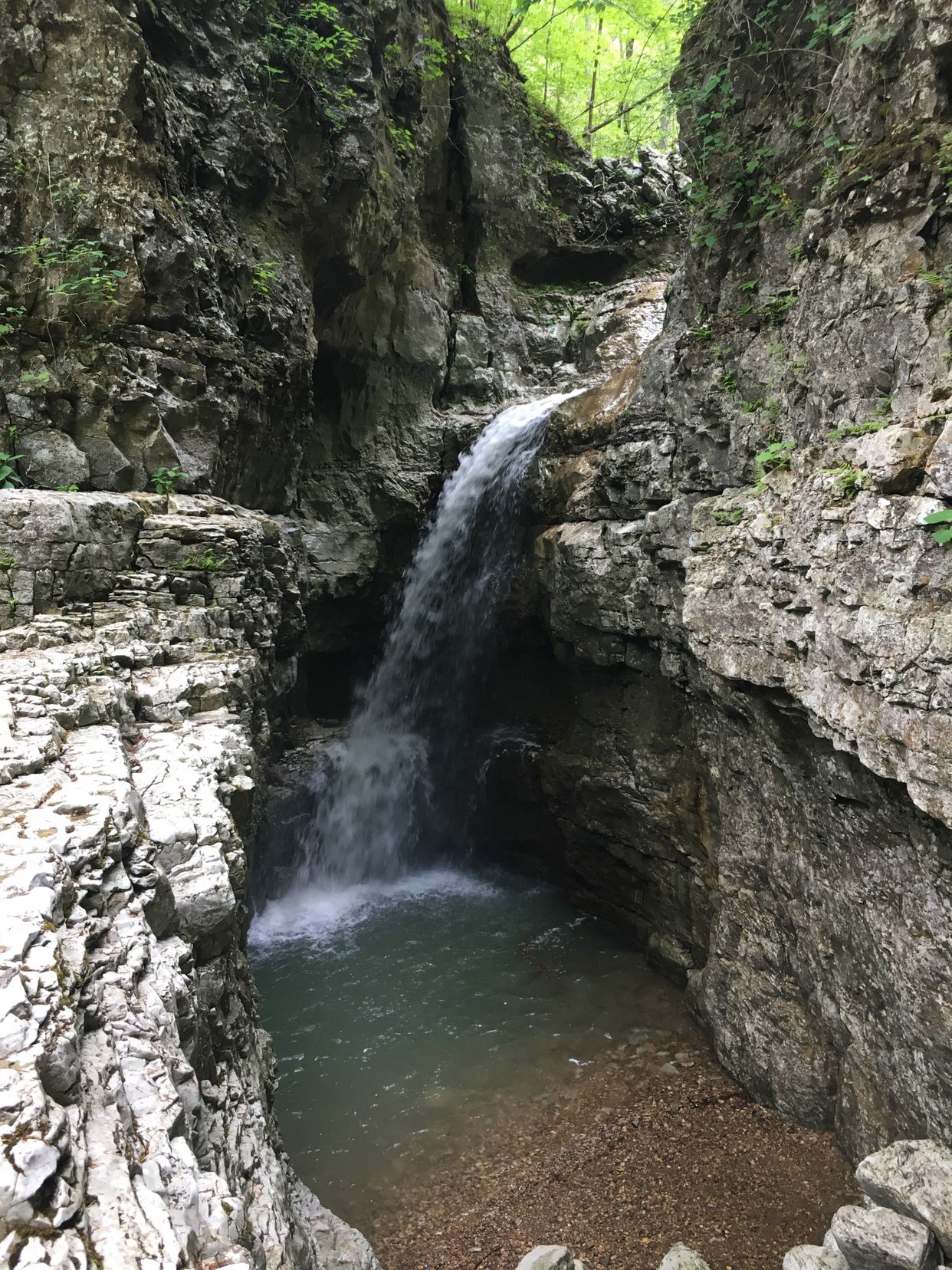 Turkey Creek