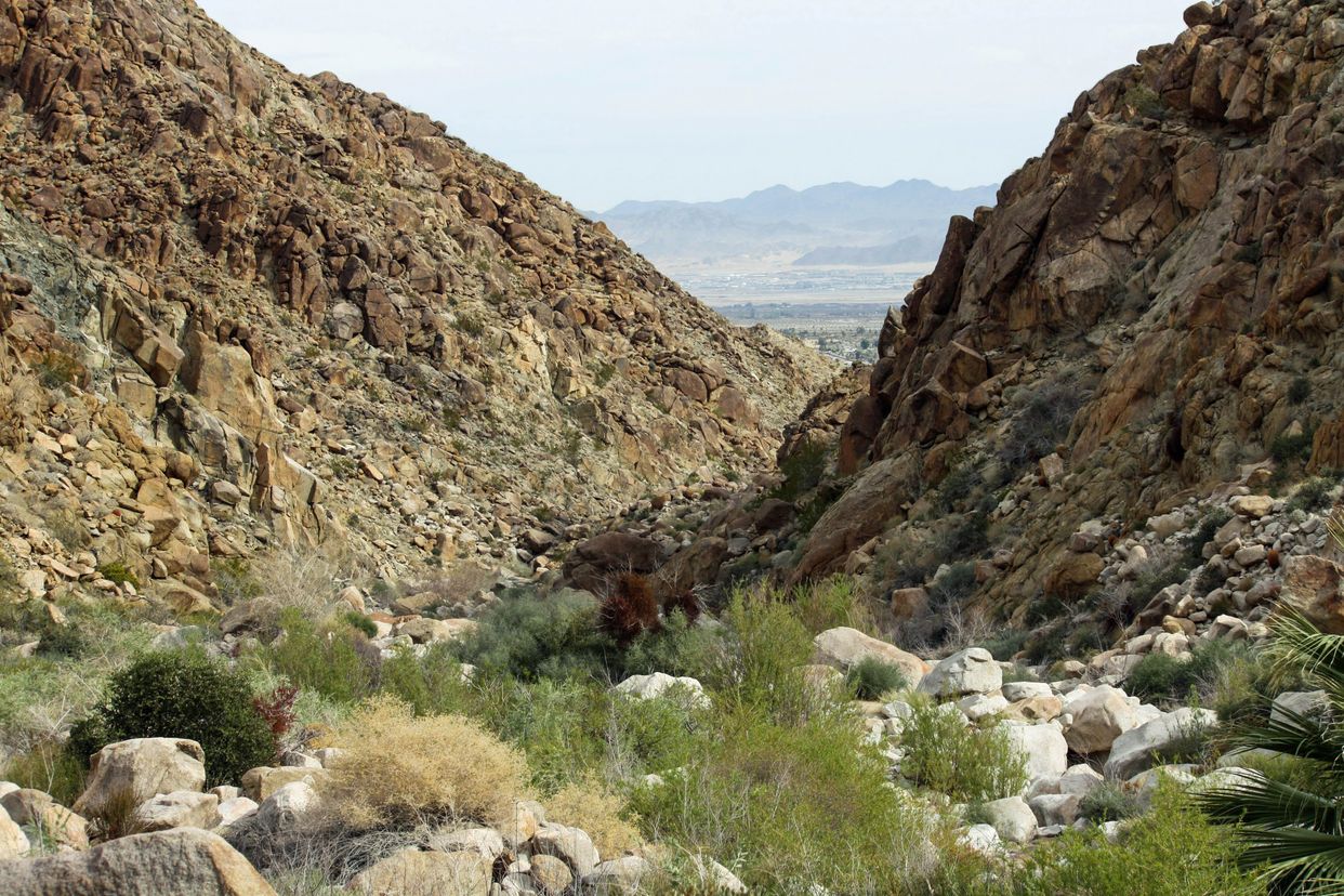 Fortynine Palms Oasis