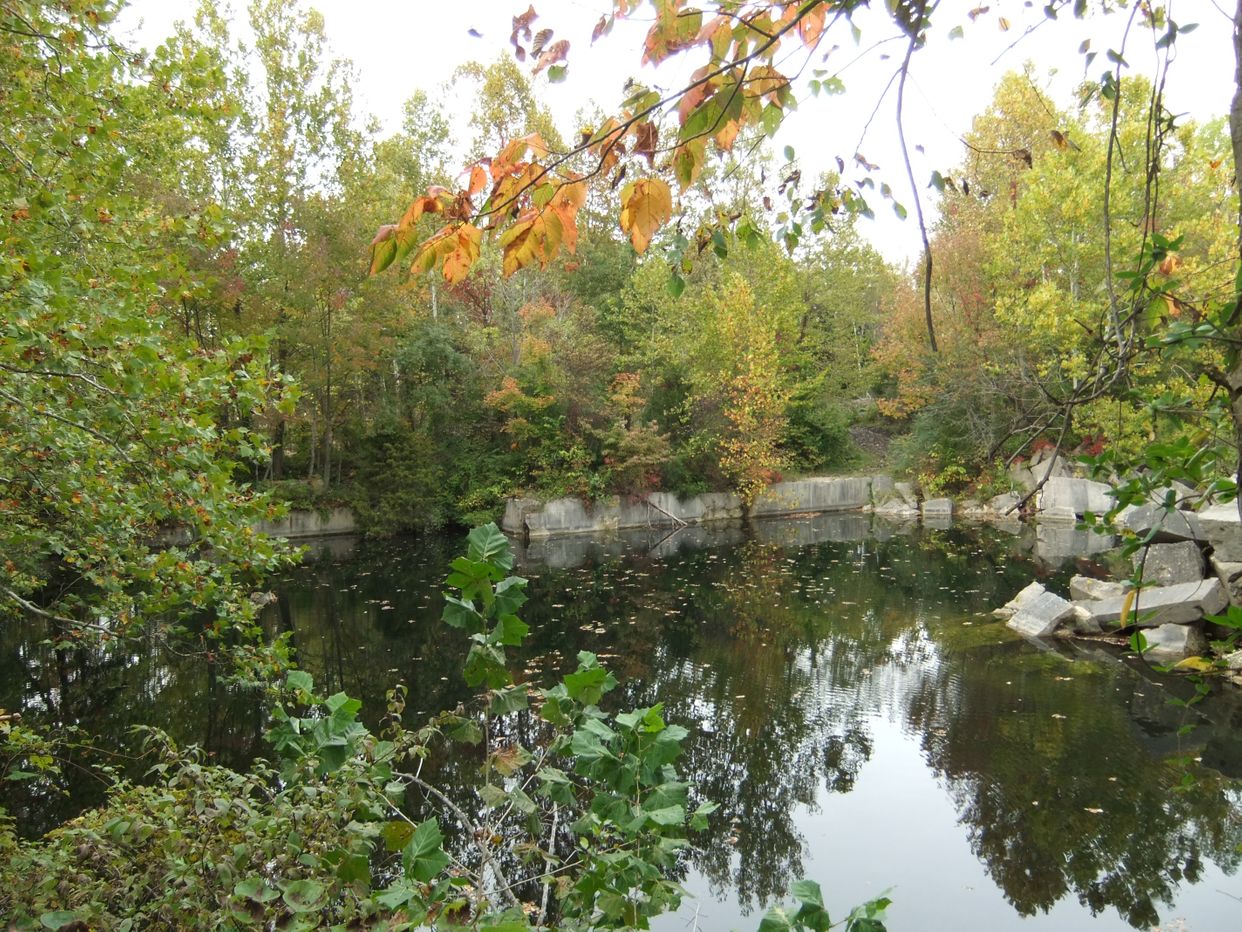 Abandoned Quarry