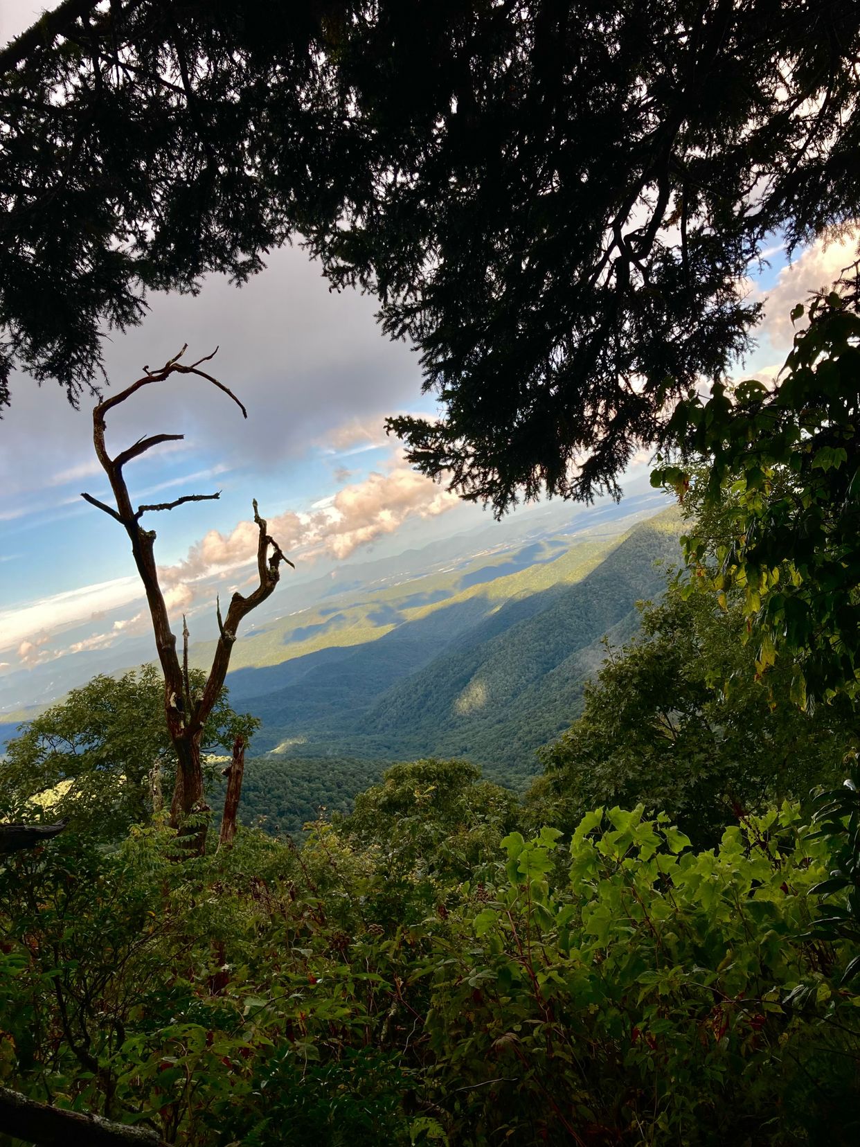 Mount Pisgah Overlook