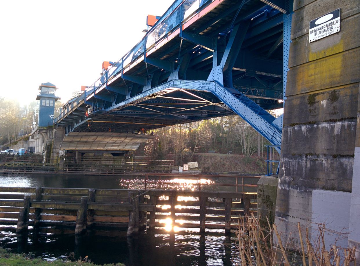 Fremont Bridge Underside