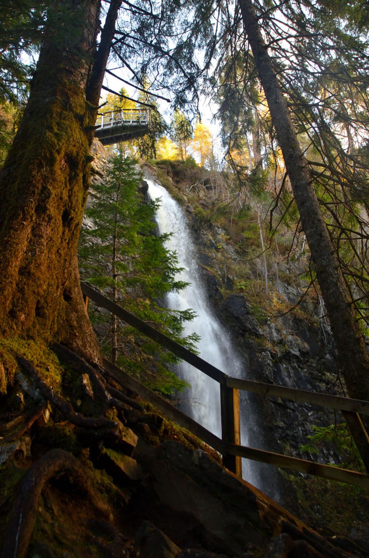 Plodda Falls