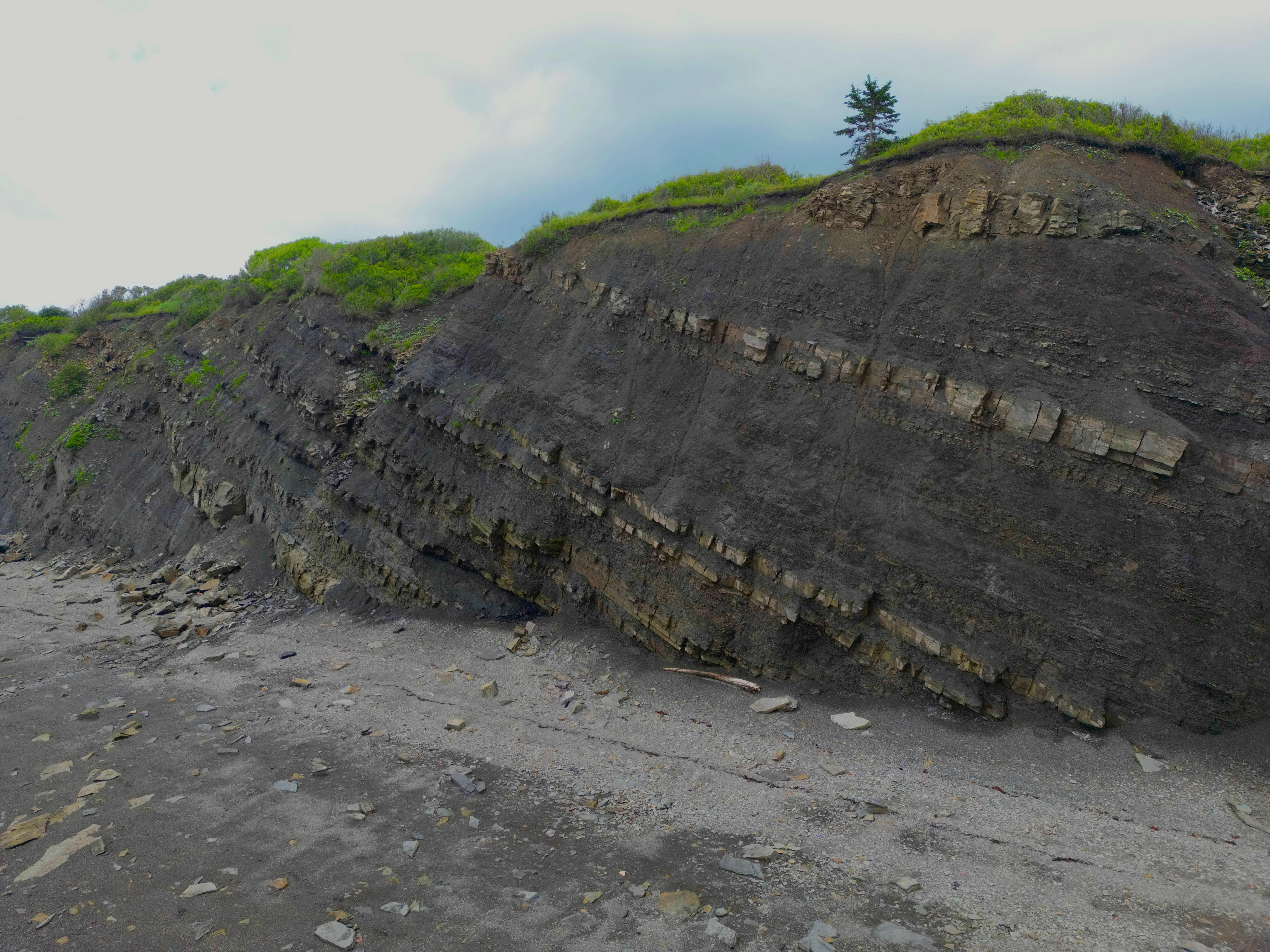Joggins Fossil Cliffs — Photo by Andrew George