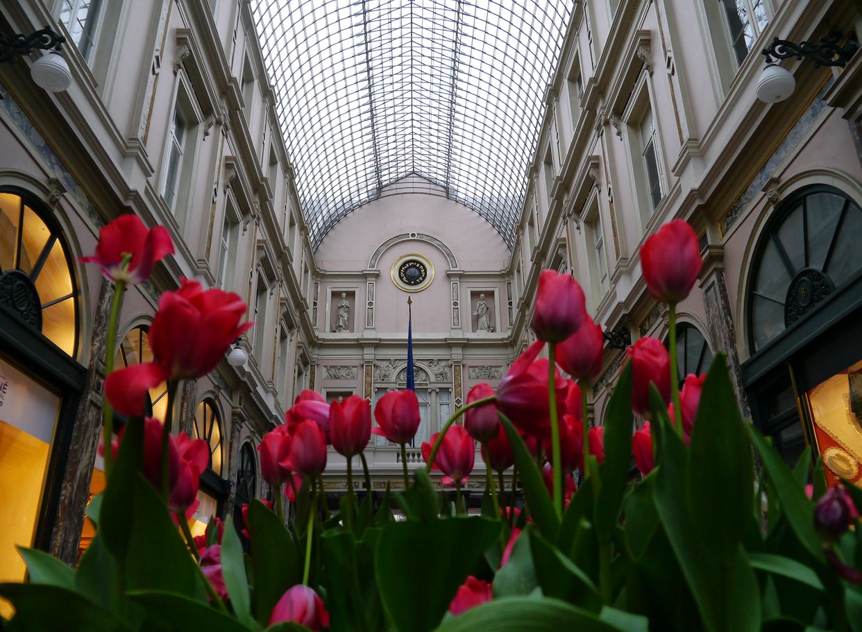 Royal Gallery of Saint Hubert
