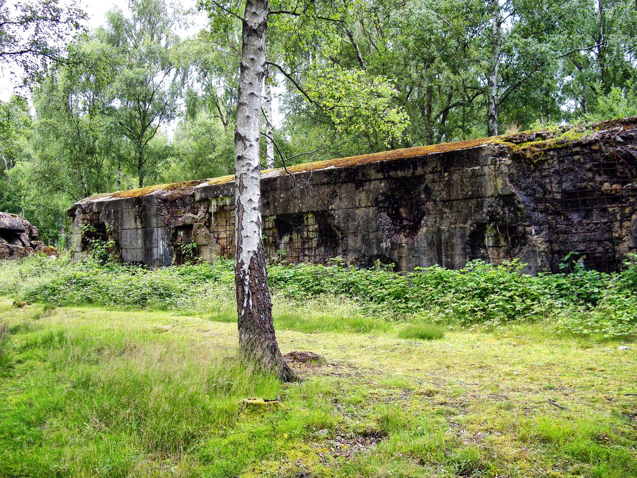 The Atlantic Wall