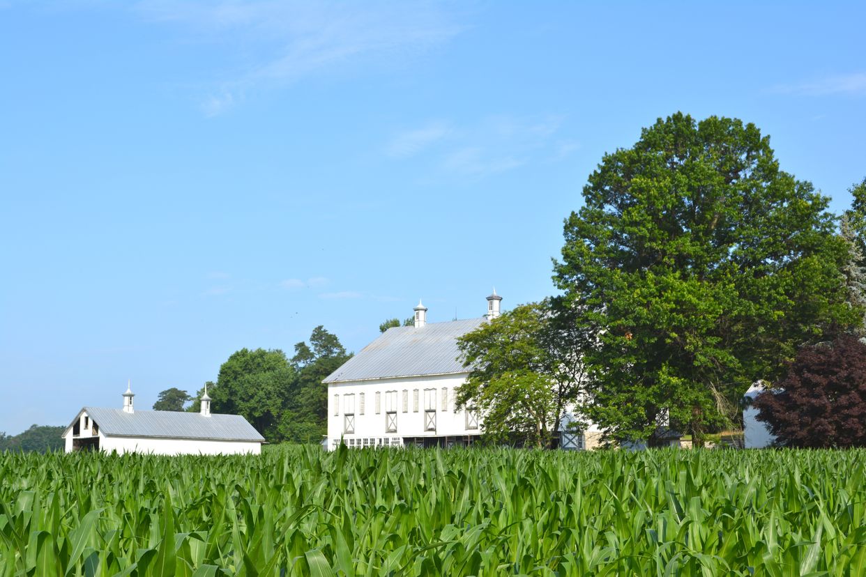 Culbertson-Harbison Farm