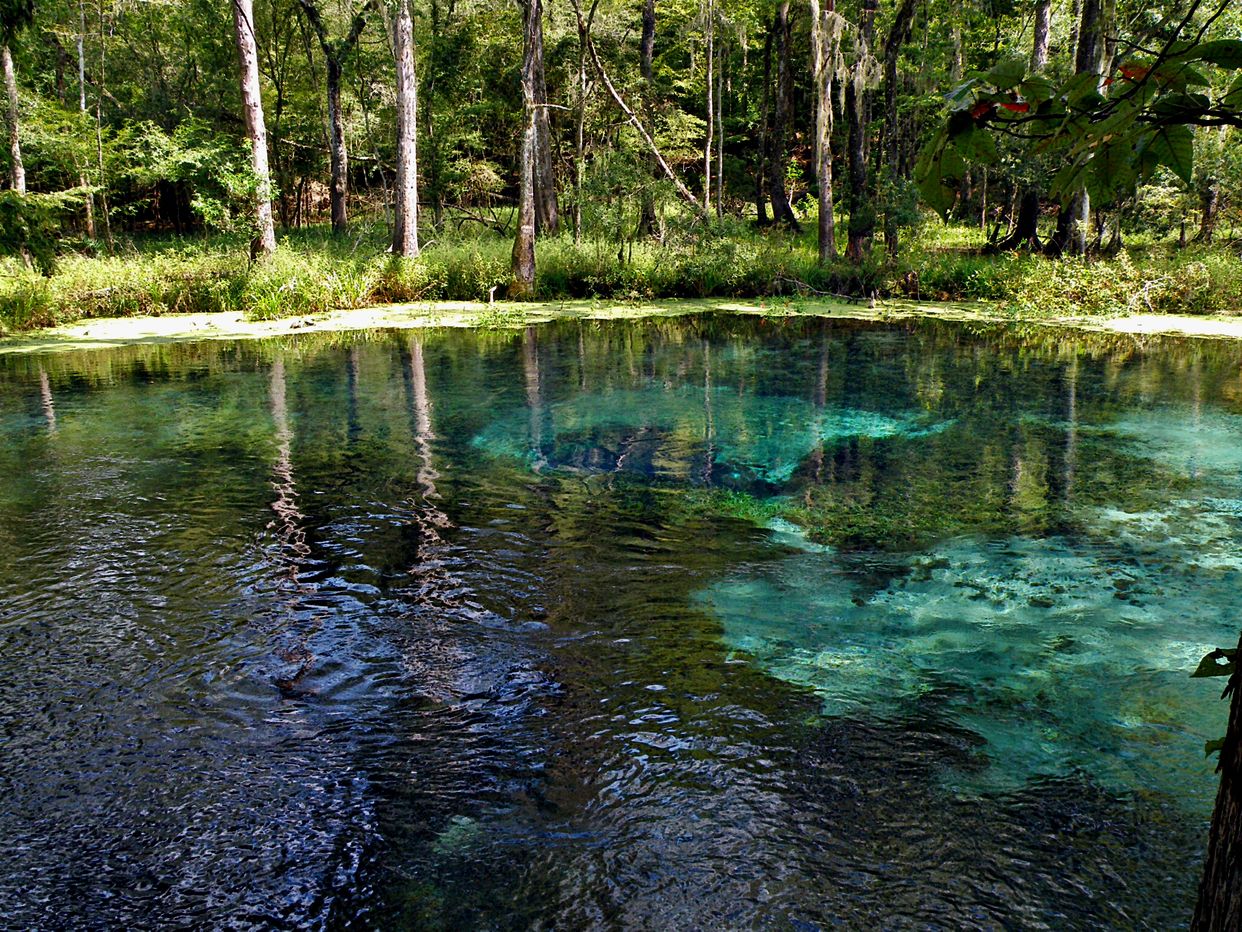 Blue Hole Spring