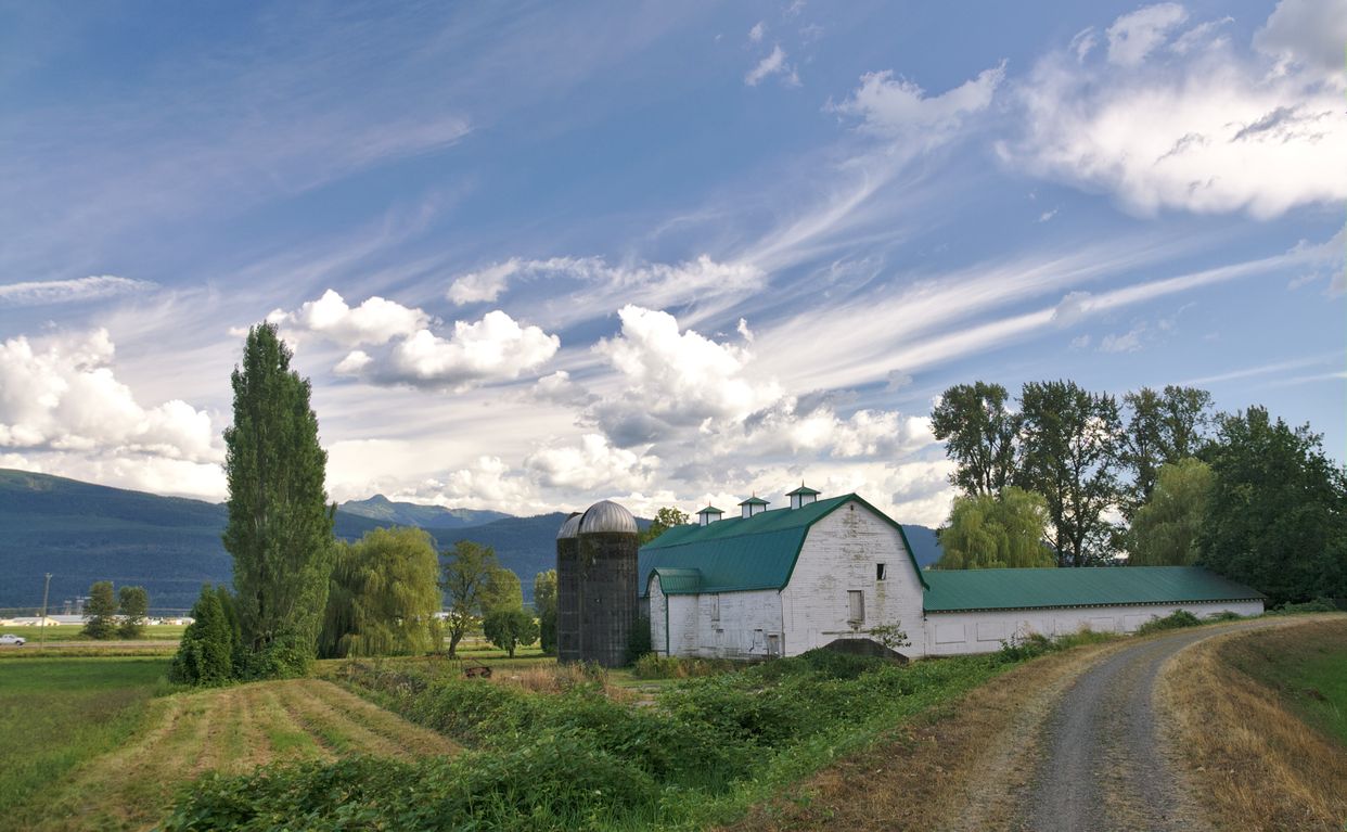 Scenic Farm View
