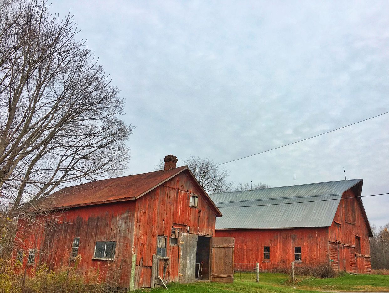 Red Barns