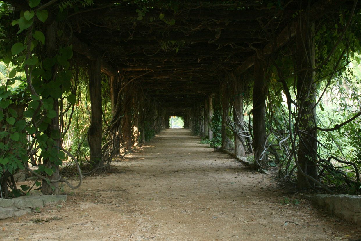  Arboretum Tunnel