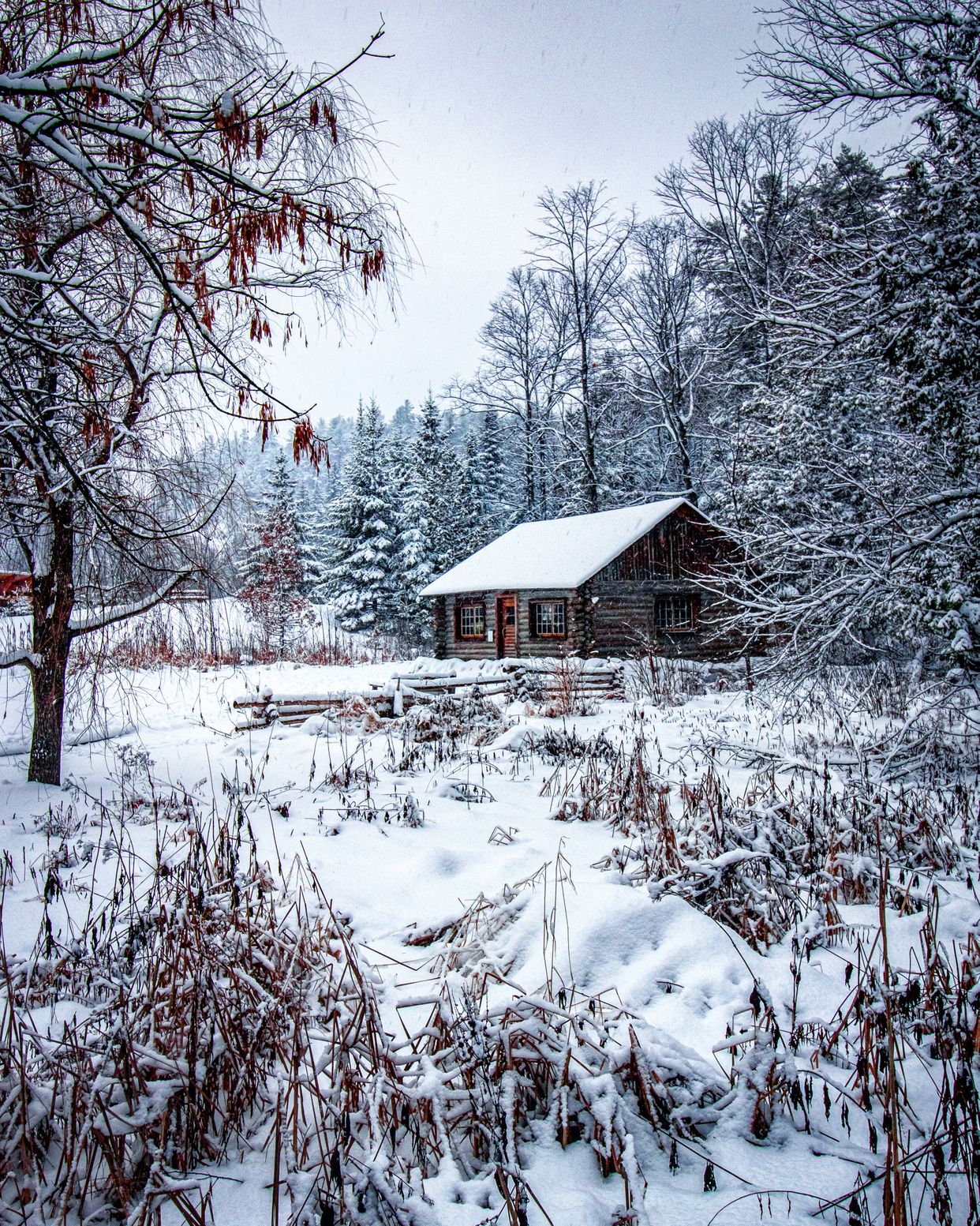 Log Cabin