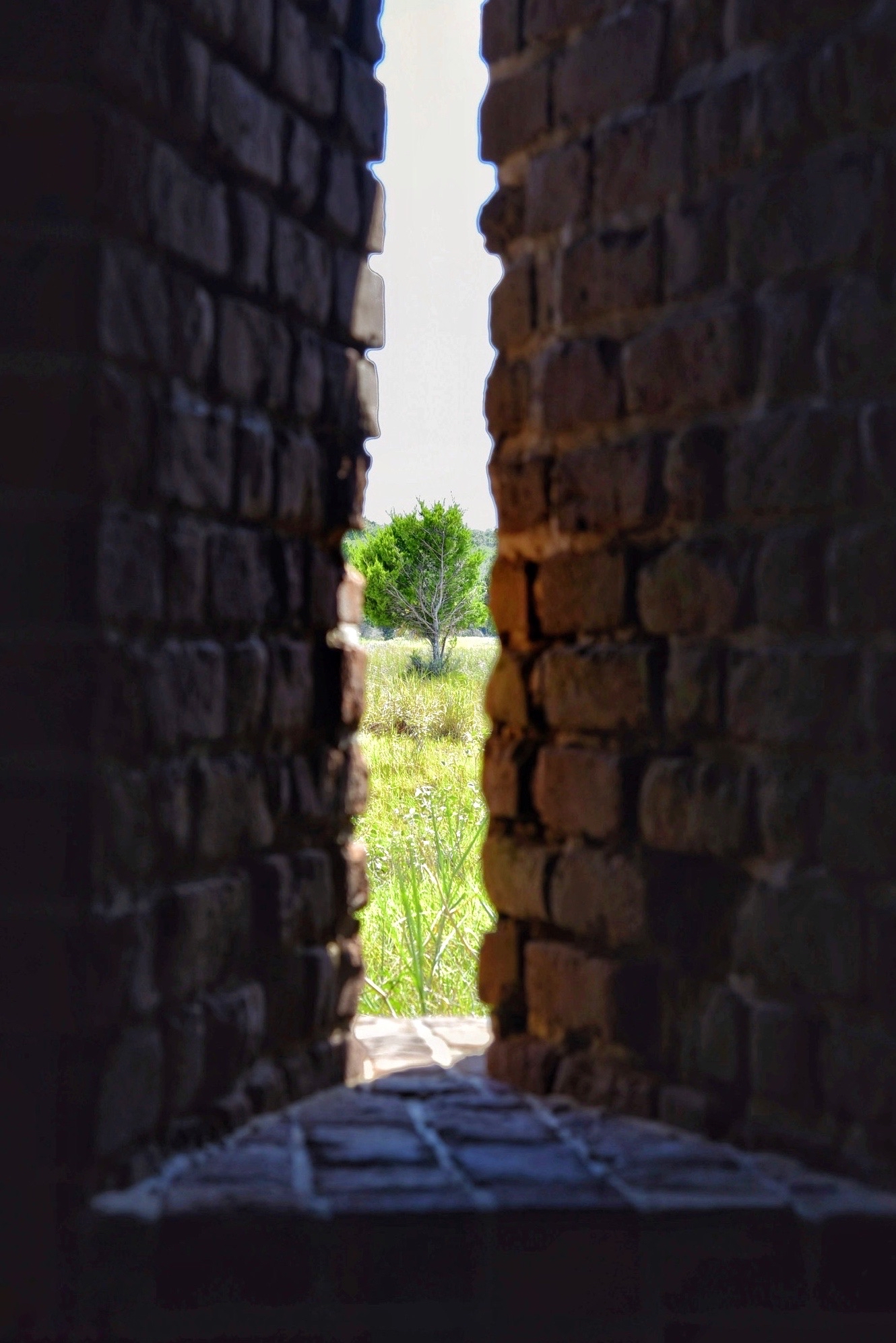 Fort Clinch State Park — Photo by George Cribbs