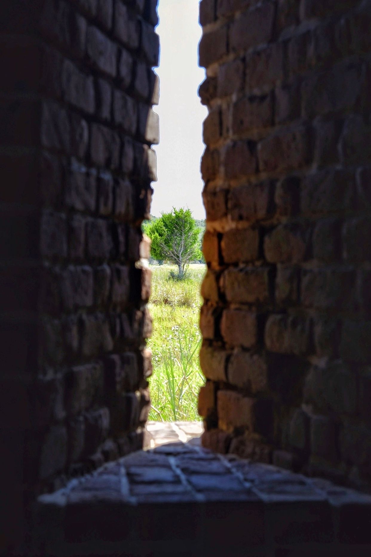 Fort Clinch State Park