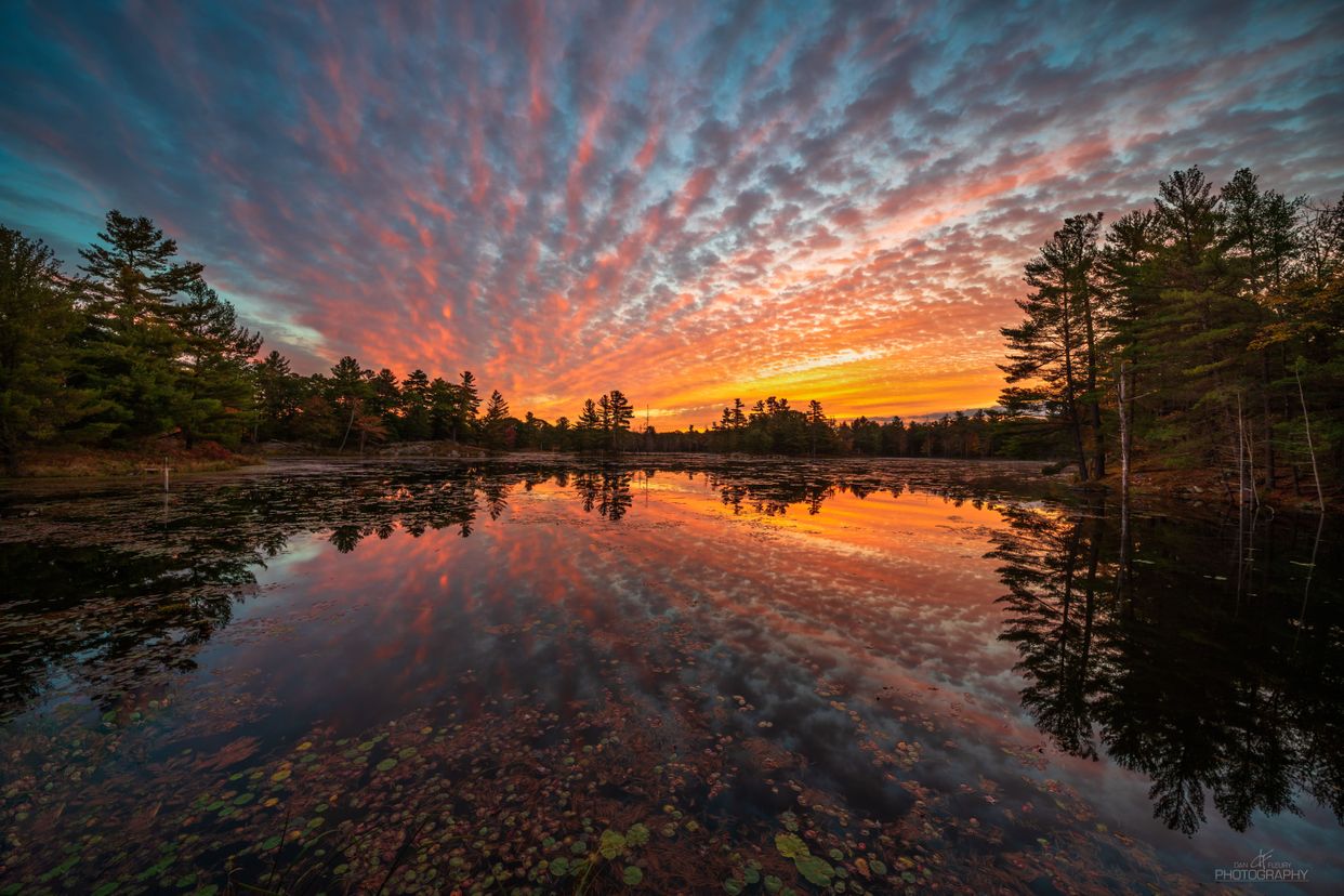 Mountain Road Pond