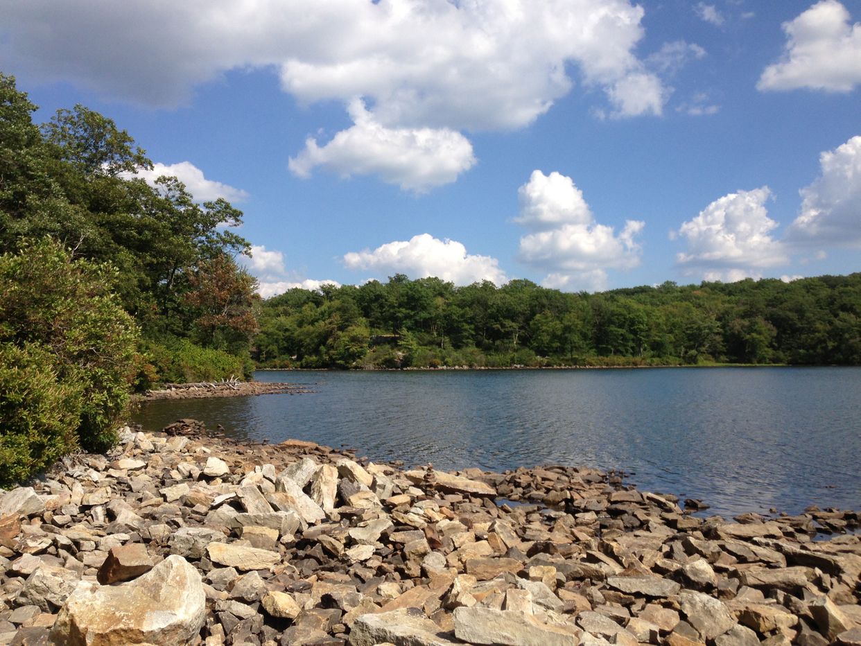 Sunfish Pond
