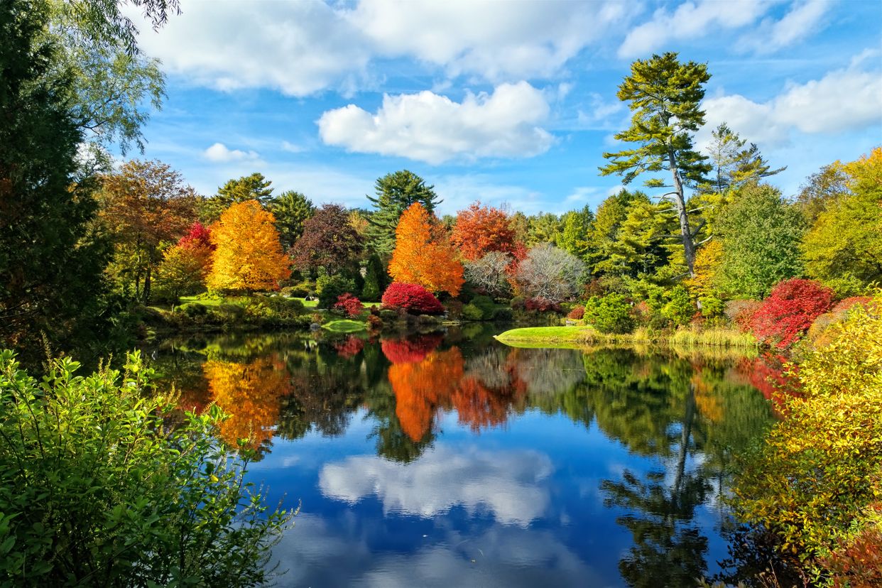 Asticou Azalea Garden