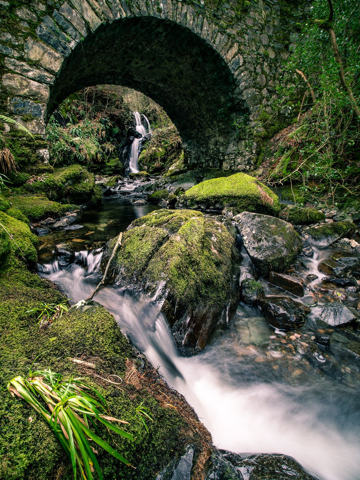 Parnell's Bridge