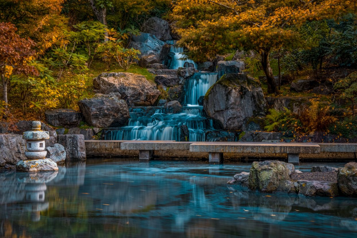Kyoto Garden