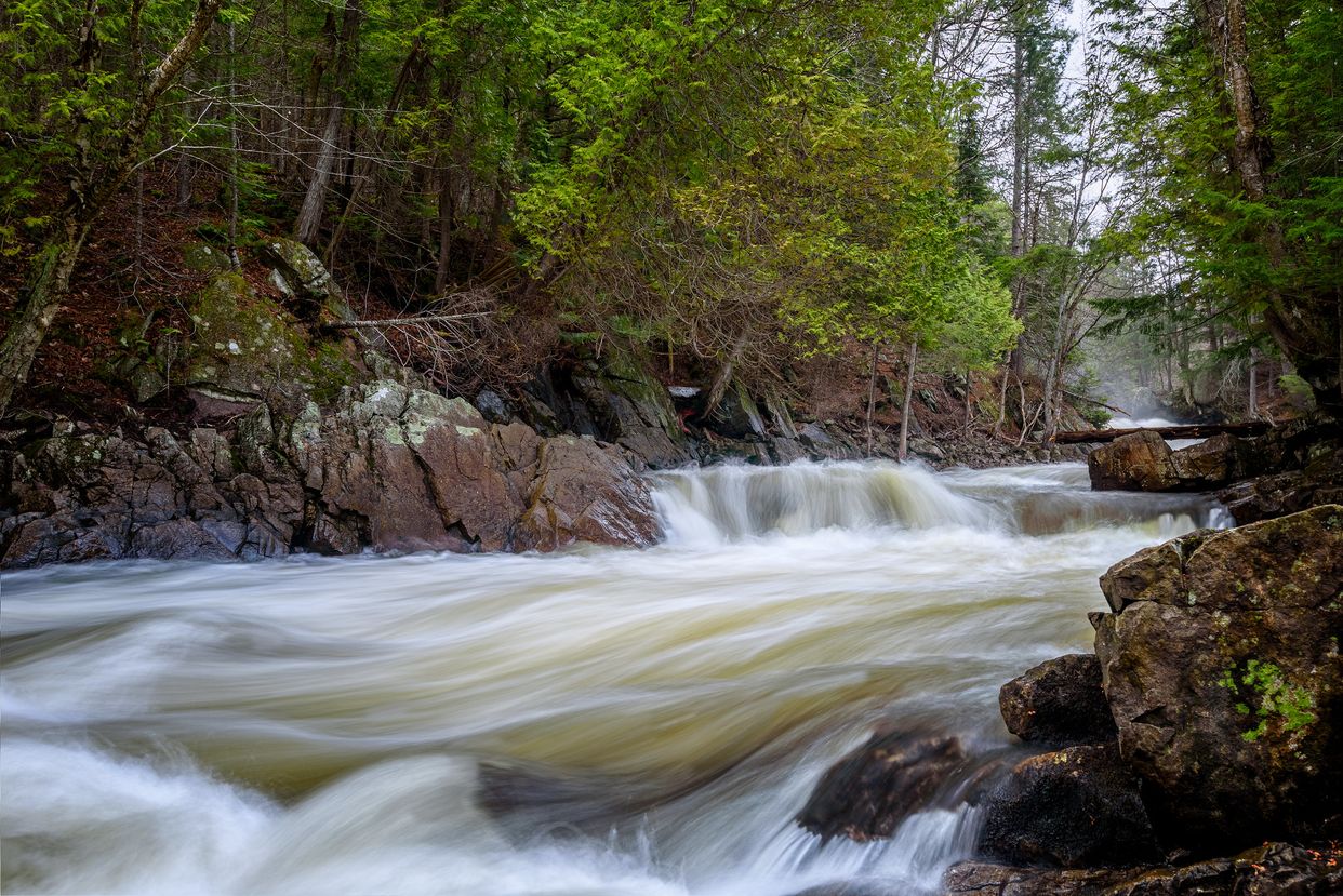 Brook's Falls
