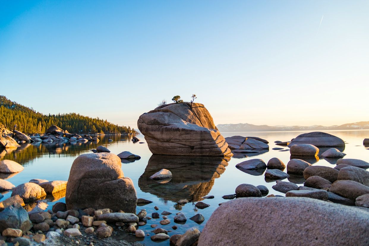 Bonsai Rock