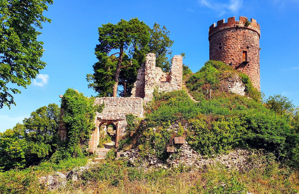 Château du Haut-Ribeaupierre