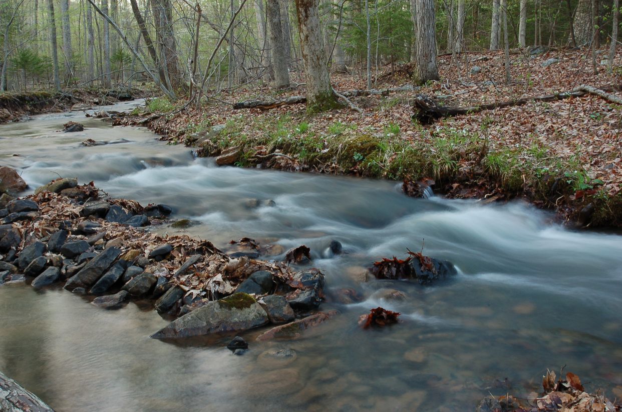 Little Cove Creek