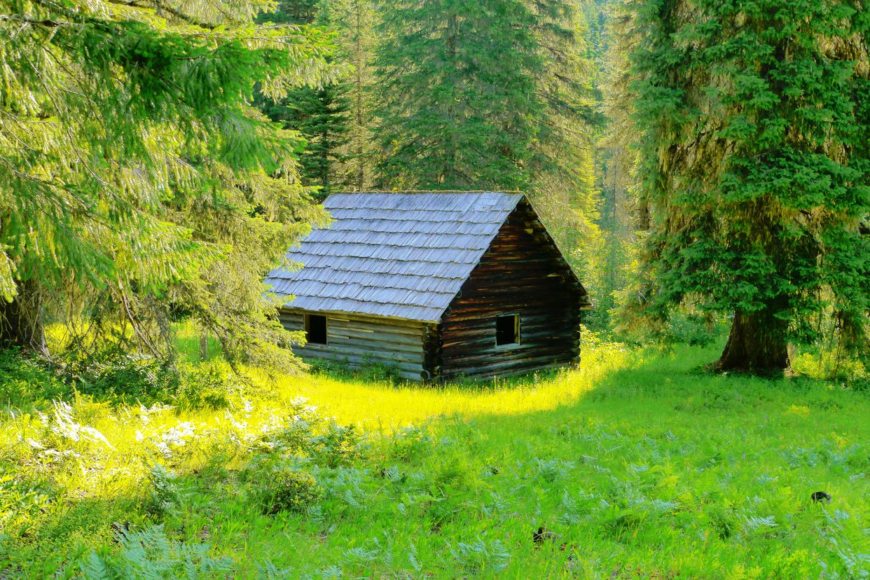 Landis Log Cabin
