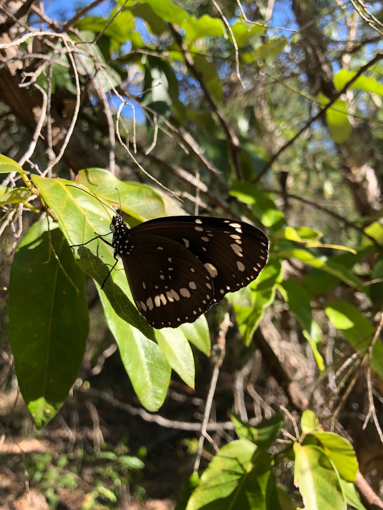 Wamberal Lagoon Conservation Reserve