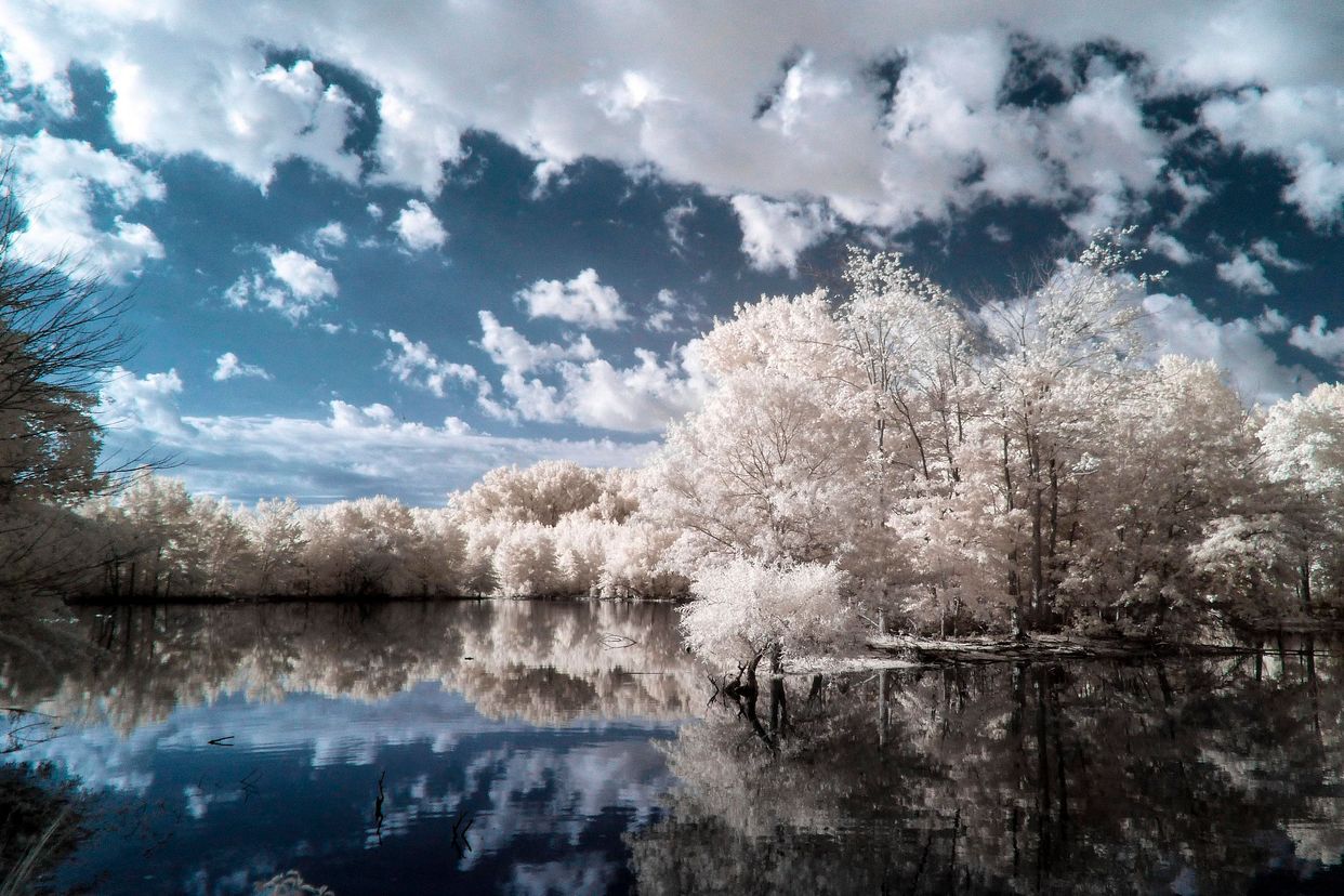 Bombay Hook National Wildlife Refuge