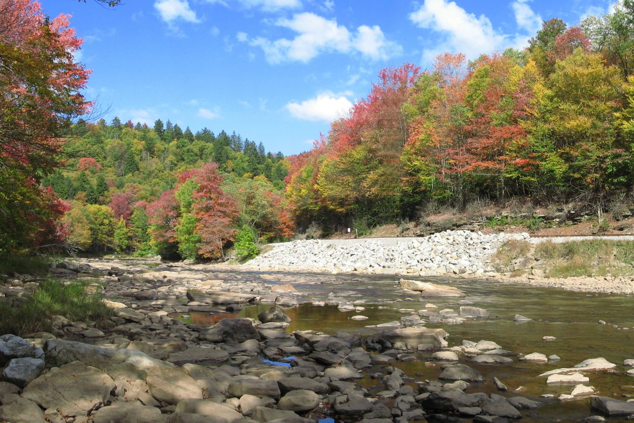 Shavers Fork