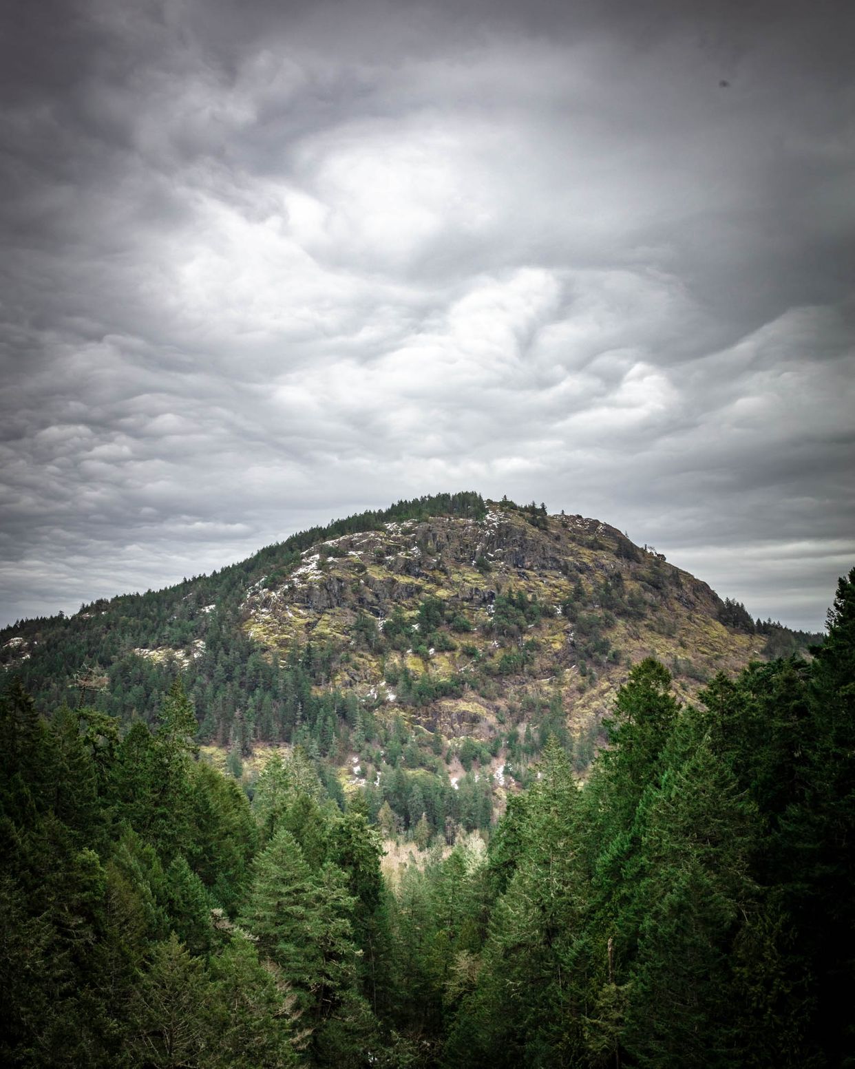 View of Mt Finlayson