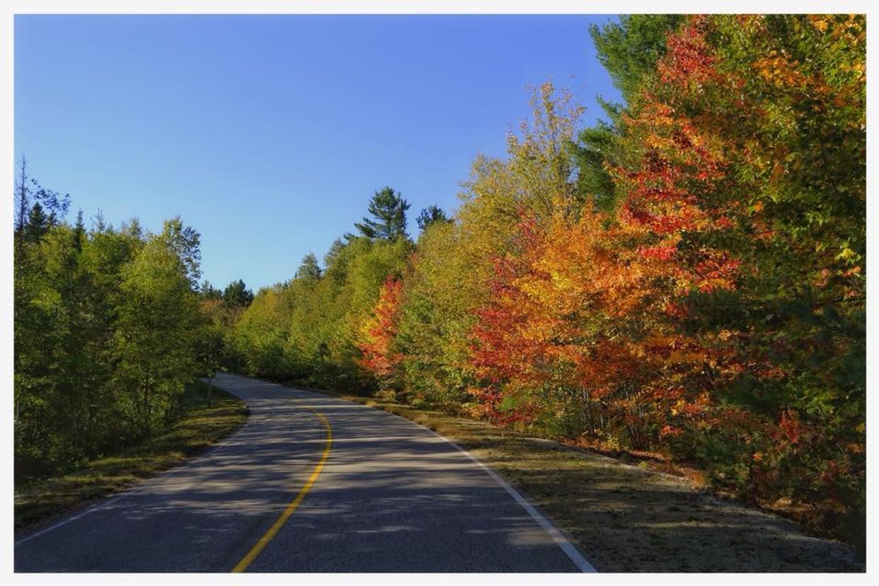 Mauricie National Park 