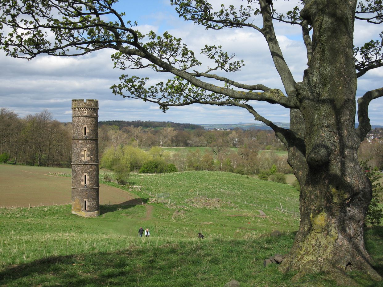 Cammo Tower