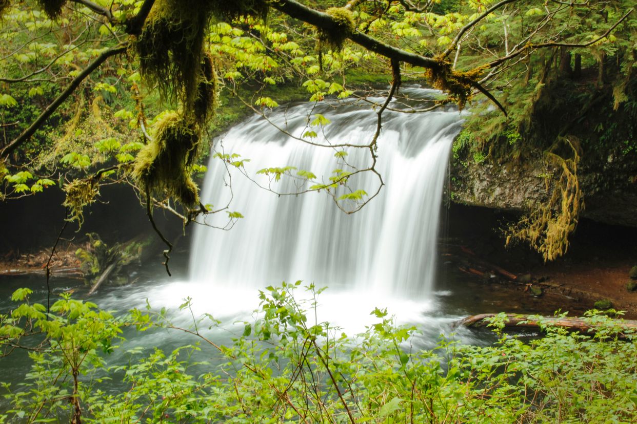 Butte Creek Falls