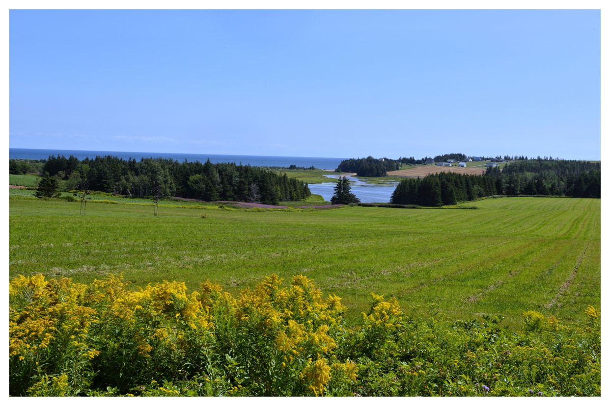  E Point Rd View