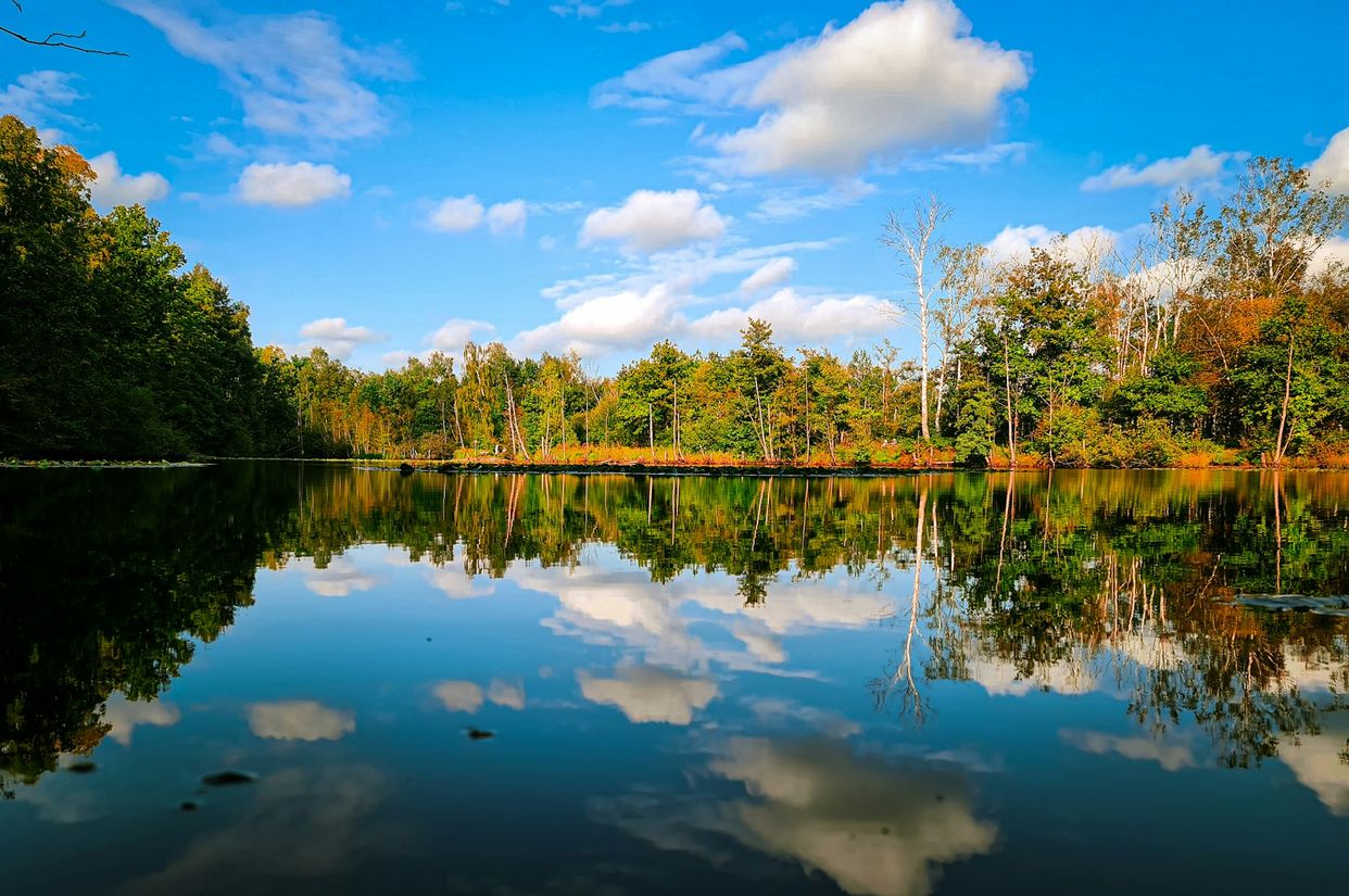 Naturschutzgebiet Raakmoor