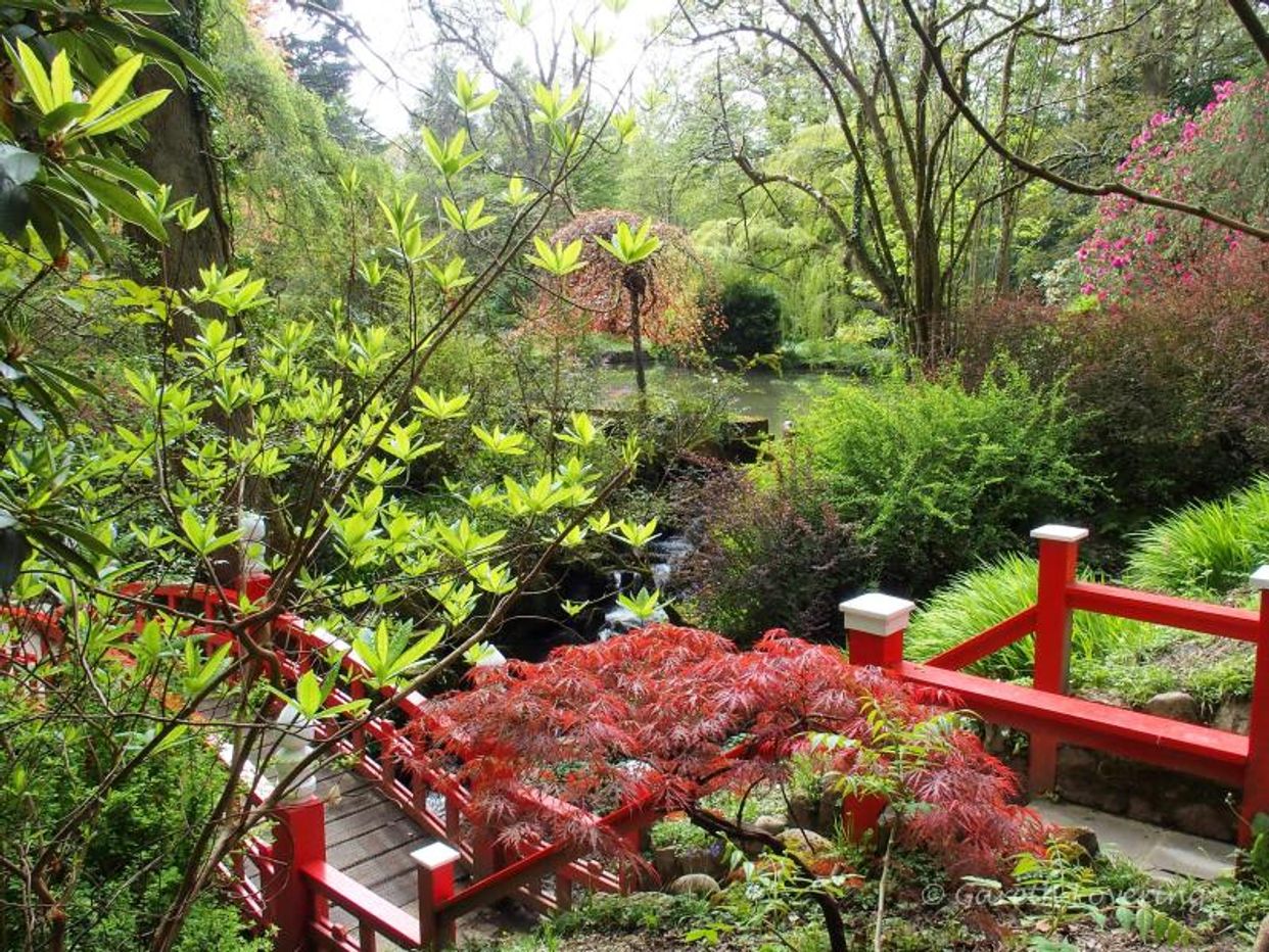 Clyne Gardens