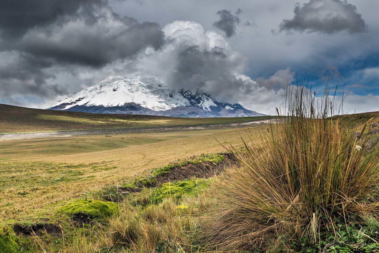 Antisana Volcano