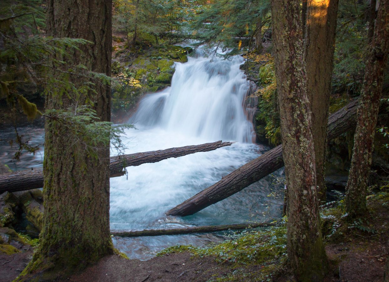 Whitehorse Falls 
