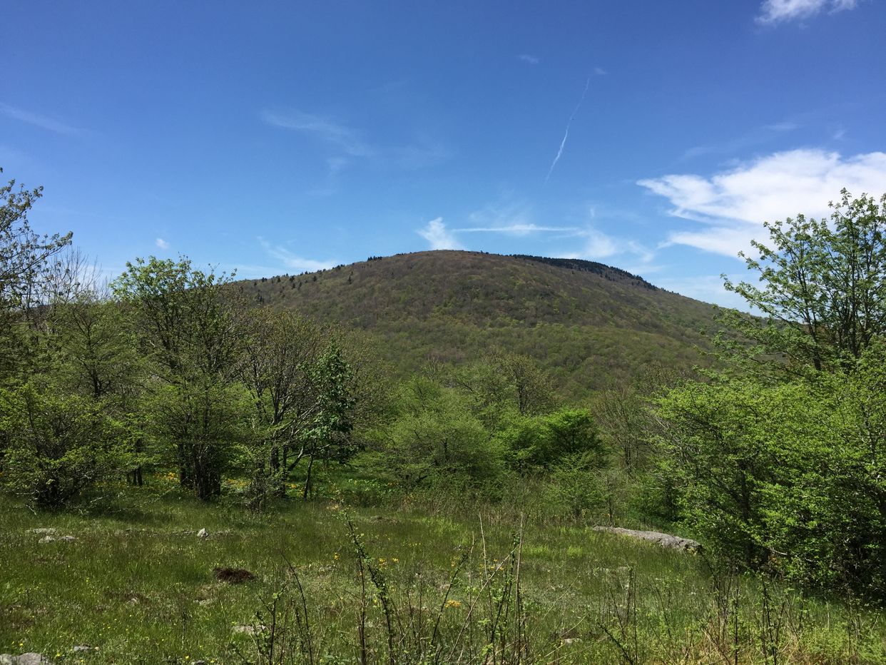 Whitetop Mountain