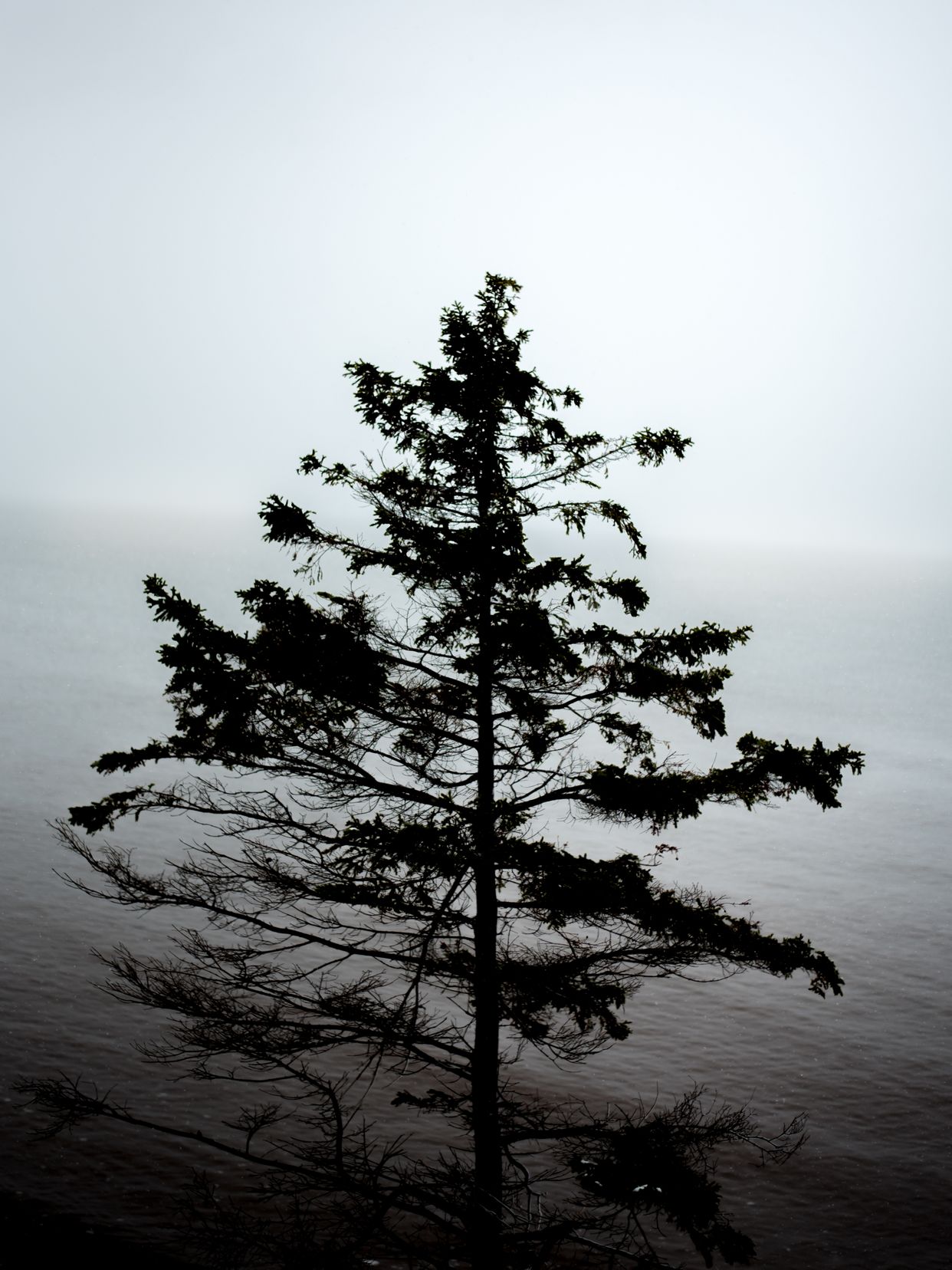 Photo by Aaron Smith