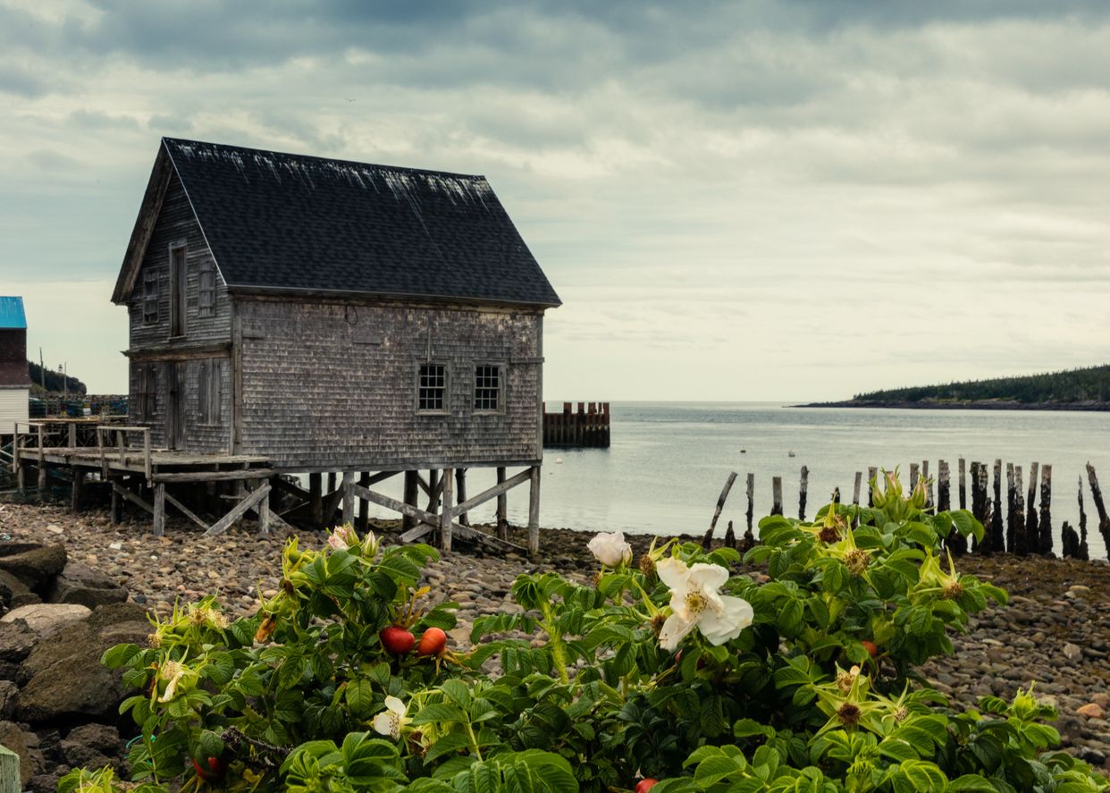 Old Fishing Shack